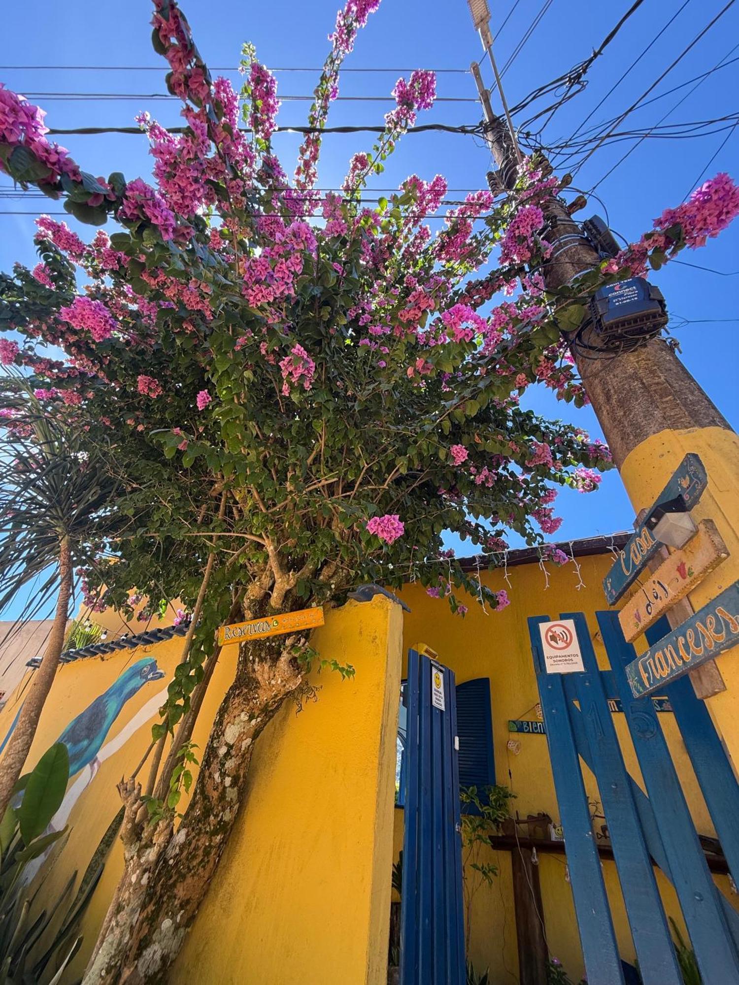 Casa Dos Franceses Guesthouse Ilha Grande ภายนอก รูปภาพ